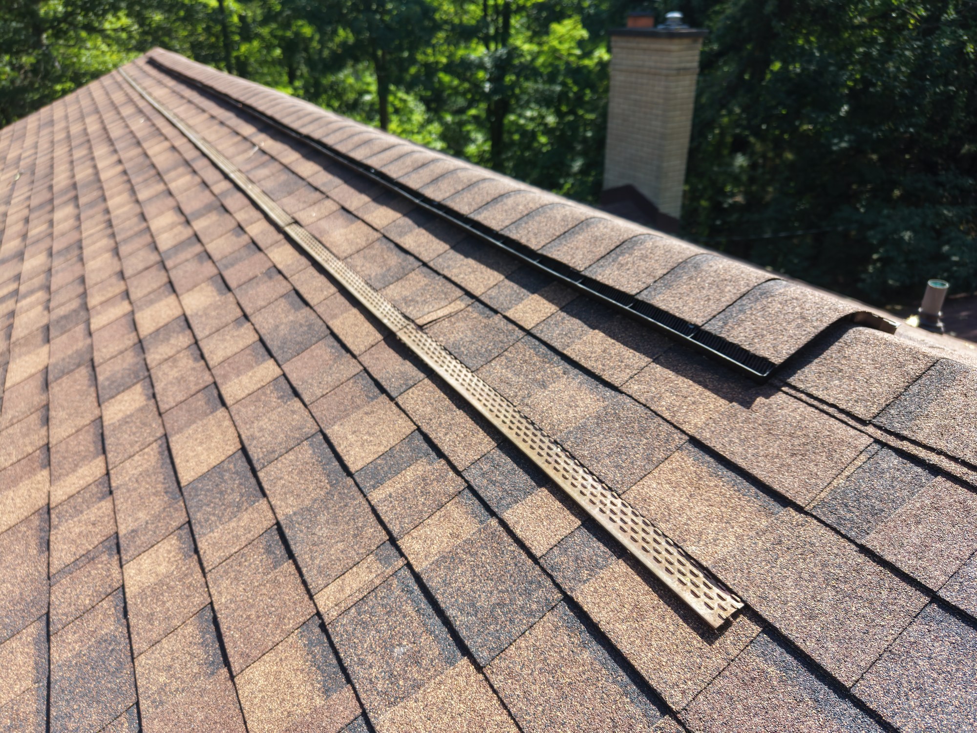 Copper Moss Boss strip installed beside the ridge of a shingle roof
